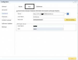 Remote Support Platform for SAP Business One